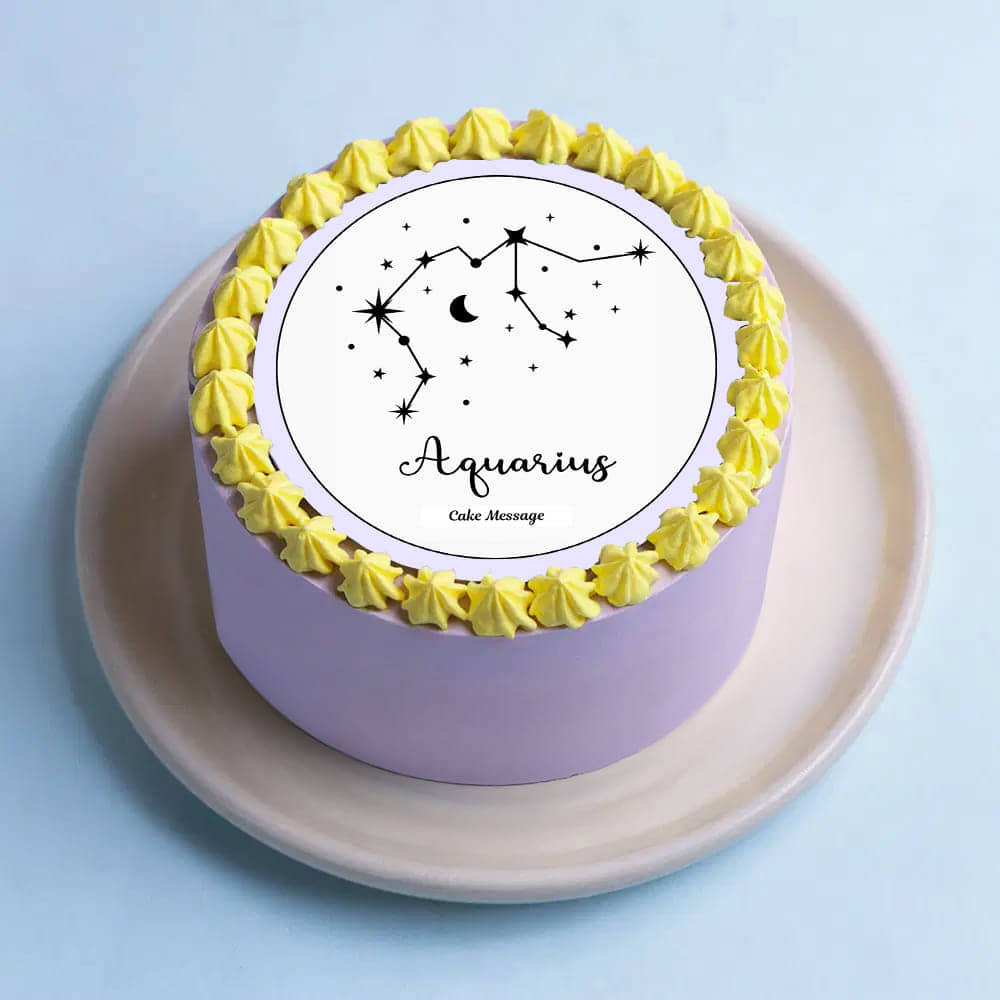 Front Angled View of Aquarius Season Bento Cake