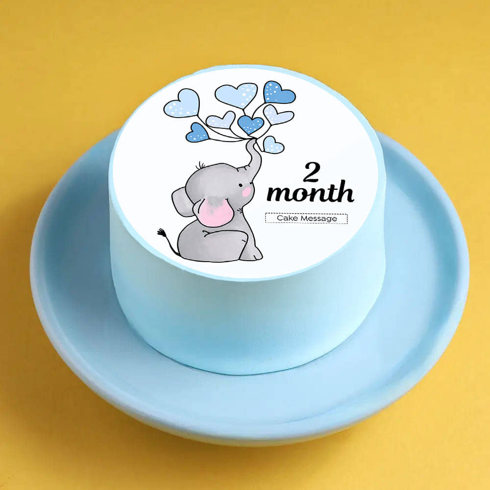 Baby Elephant Milestone Bento Cake Baby Elephant Milestone Bento Cake