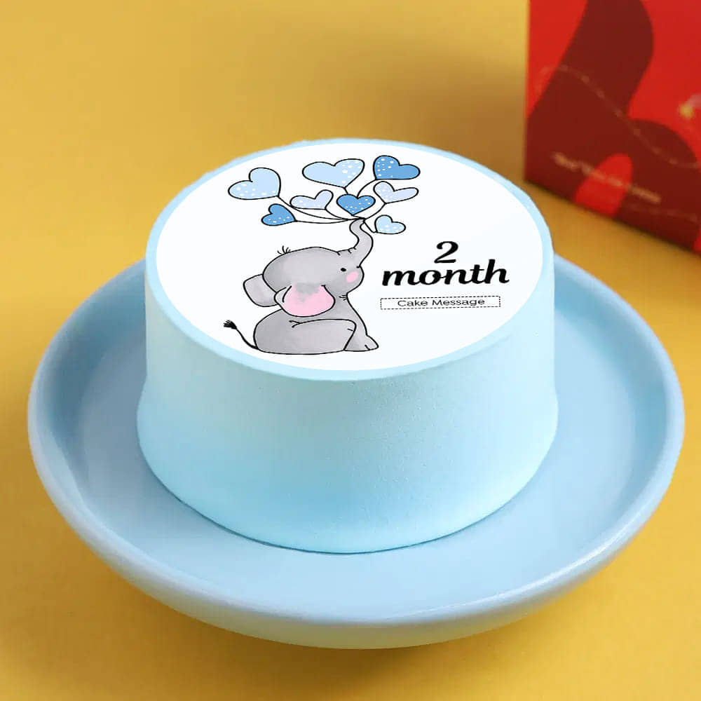 Baby Elephant Milestone Bento Cake
