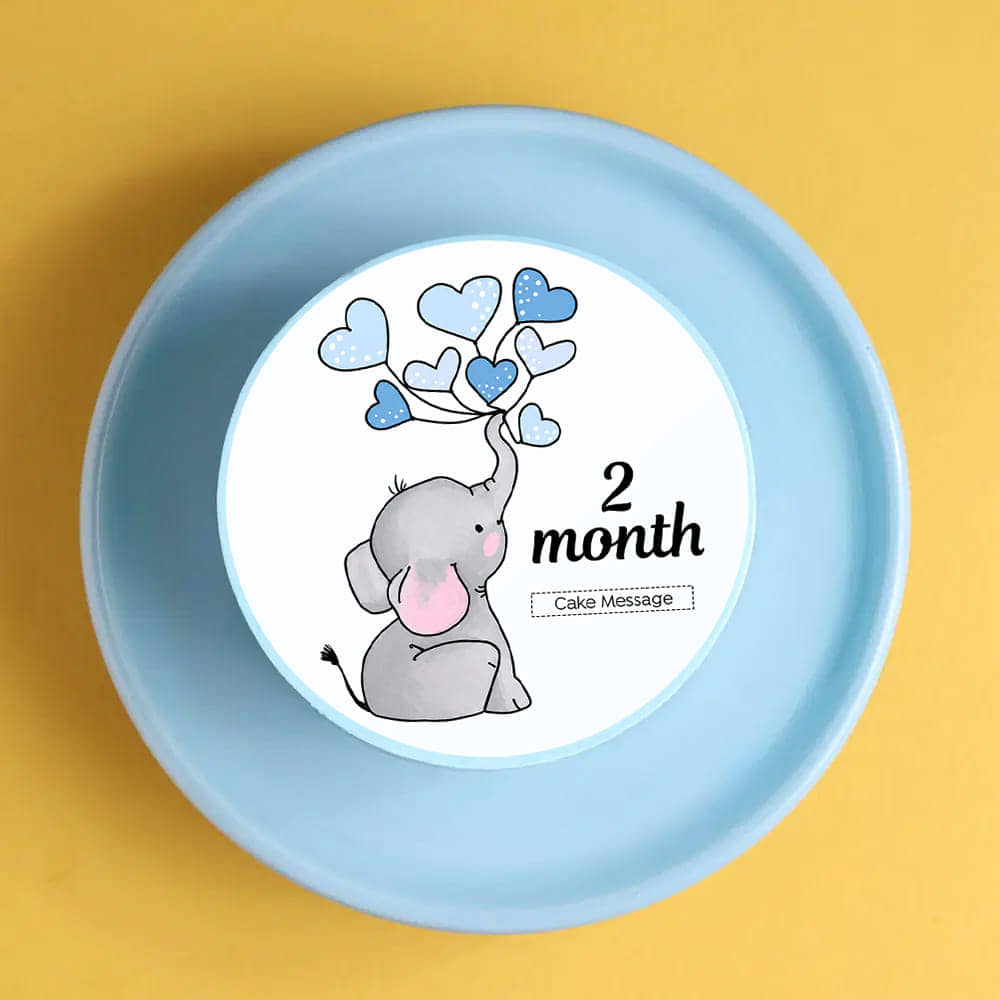 Baby Elephant Milestone Bento Cake