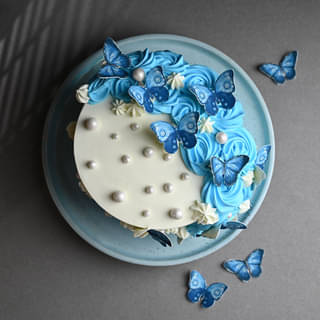 Top View Beautiful Butterfly Theme Cake