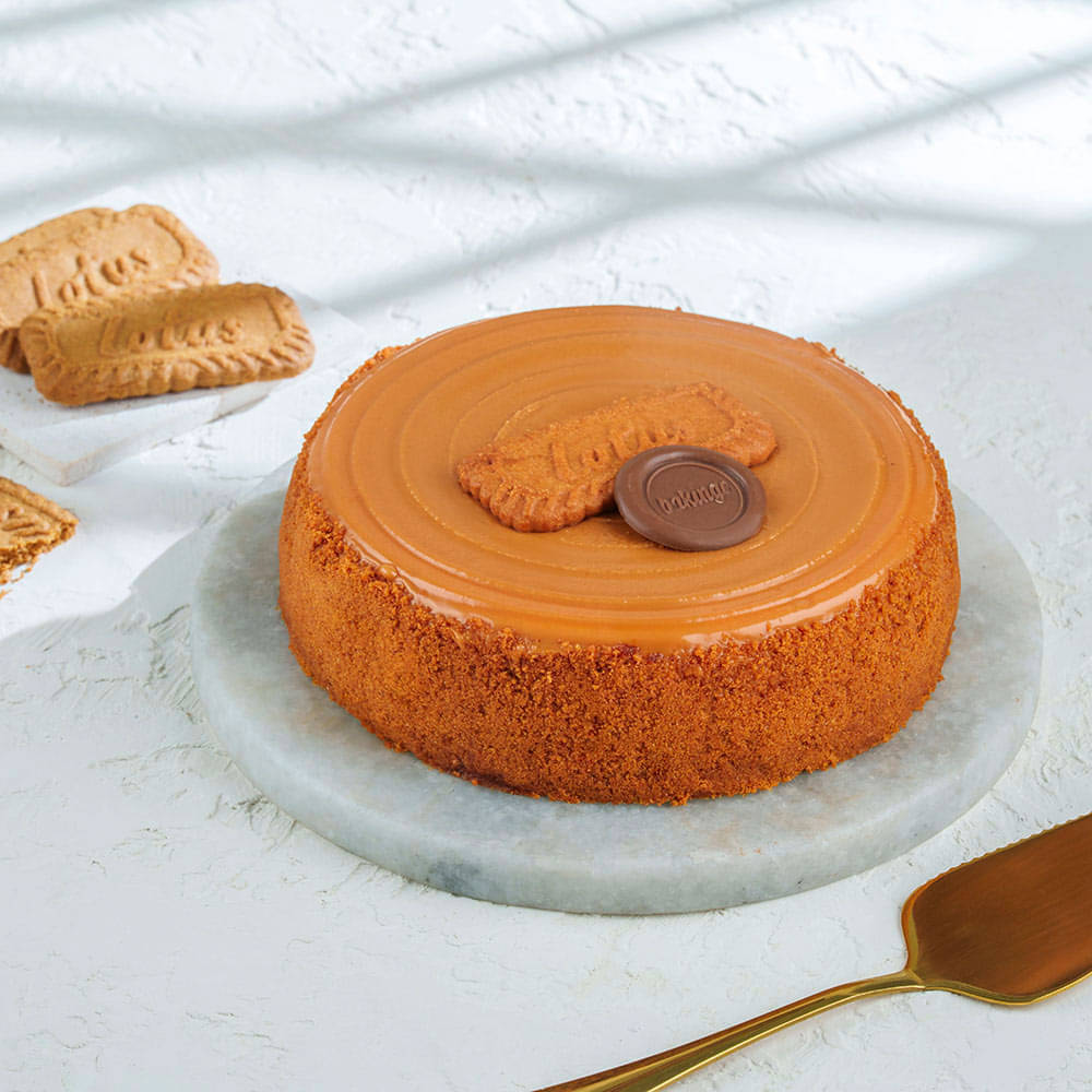 Top View of Biscoff Baked Cheesecake