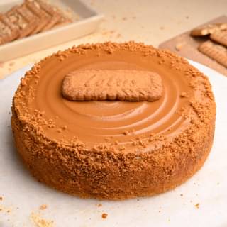 Side View of Biscoff Baked Cheesecake