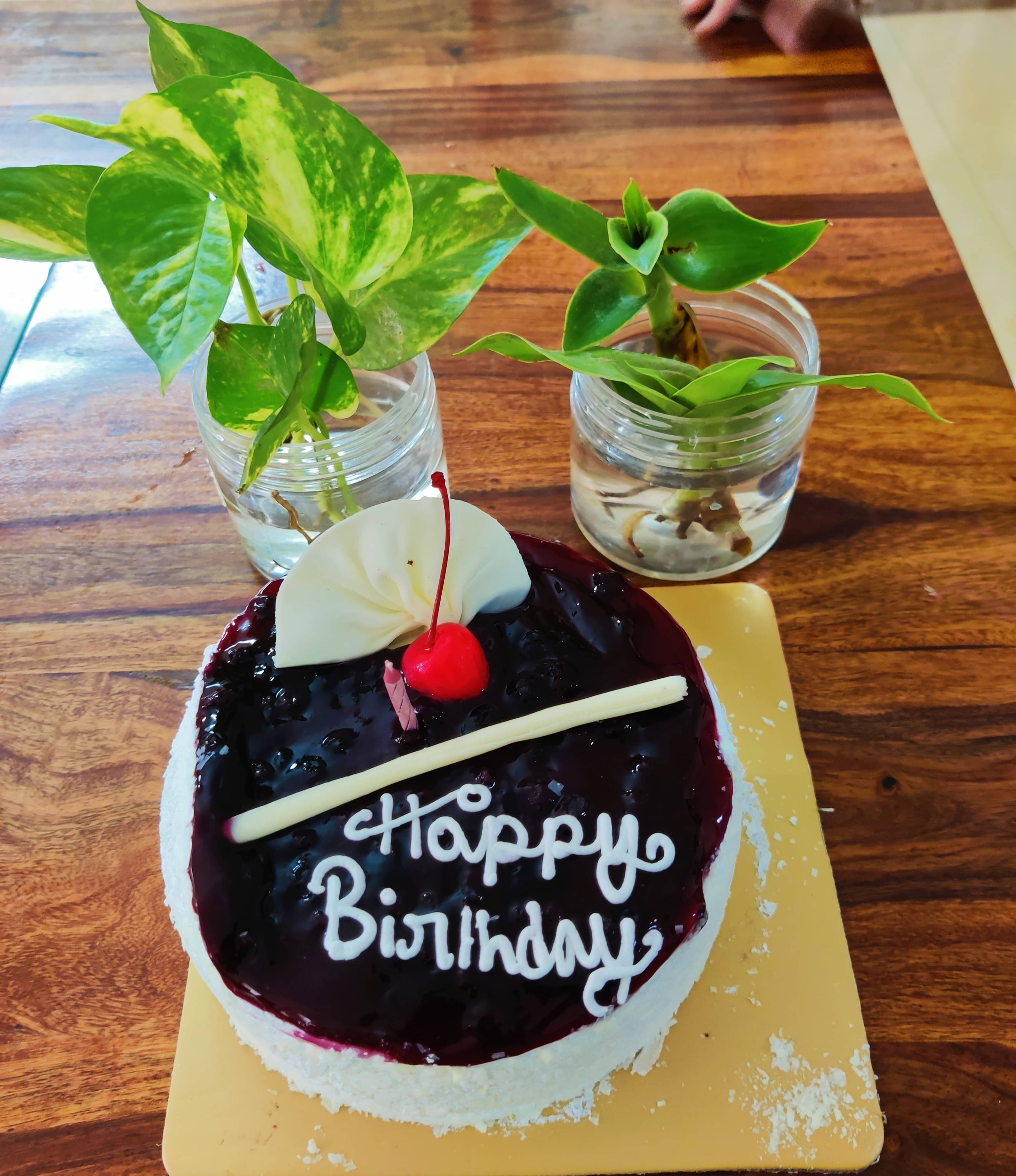 Black Forest Cake Recipe | Cake Recipe | Birthday Cake Recipe | Tanu'sPanchPhoron  - YouTube