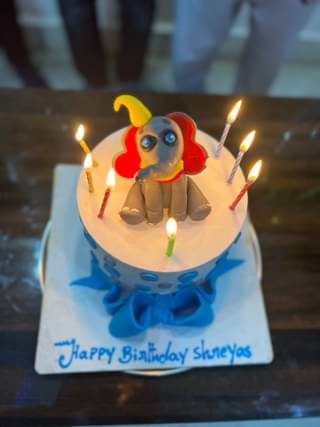 Morphle Elephant Cake