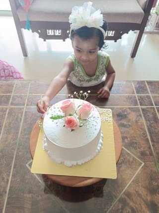 Roses Topped Vanilla Cream Cake