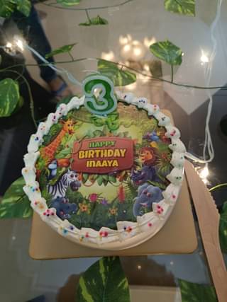 Jungle Safari Birthday Cake 