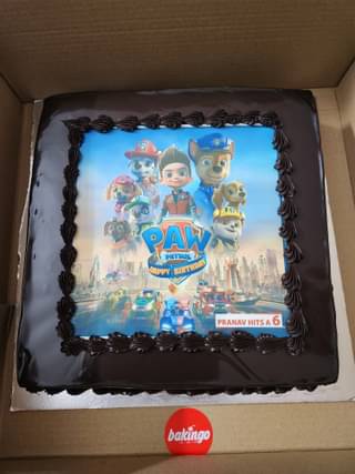 Paw Patrol Adventure Birthday Cake