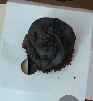 Choco Chip Cupcake