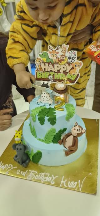 Jungle Safari Party Cake