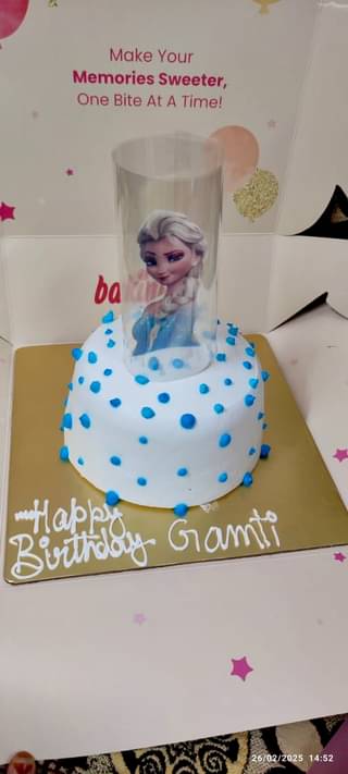 Frozen Theme Pull Me Up Chocolate Cake