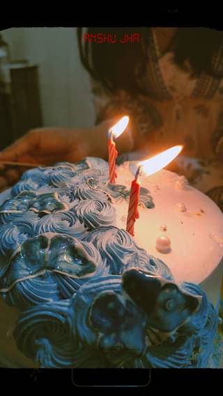 Beautiful Butterfly Theme Cake