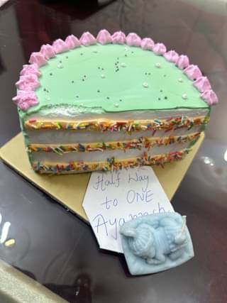 Colourful Pineapple Half Cake