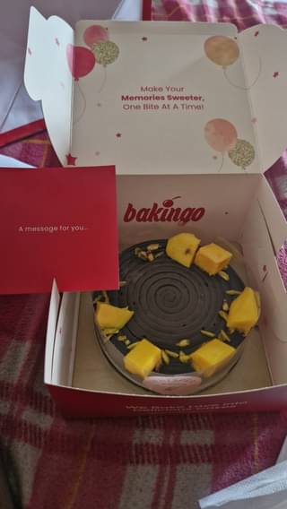 Mango Dark Chocolate Cake