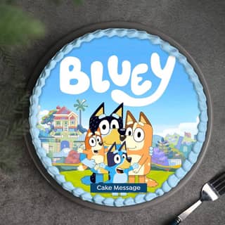 Top View of Bluey N Family Cake