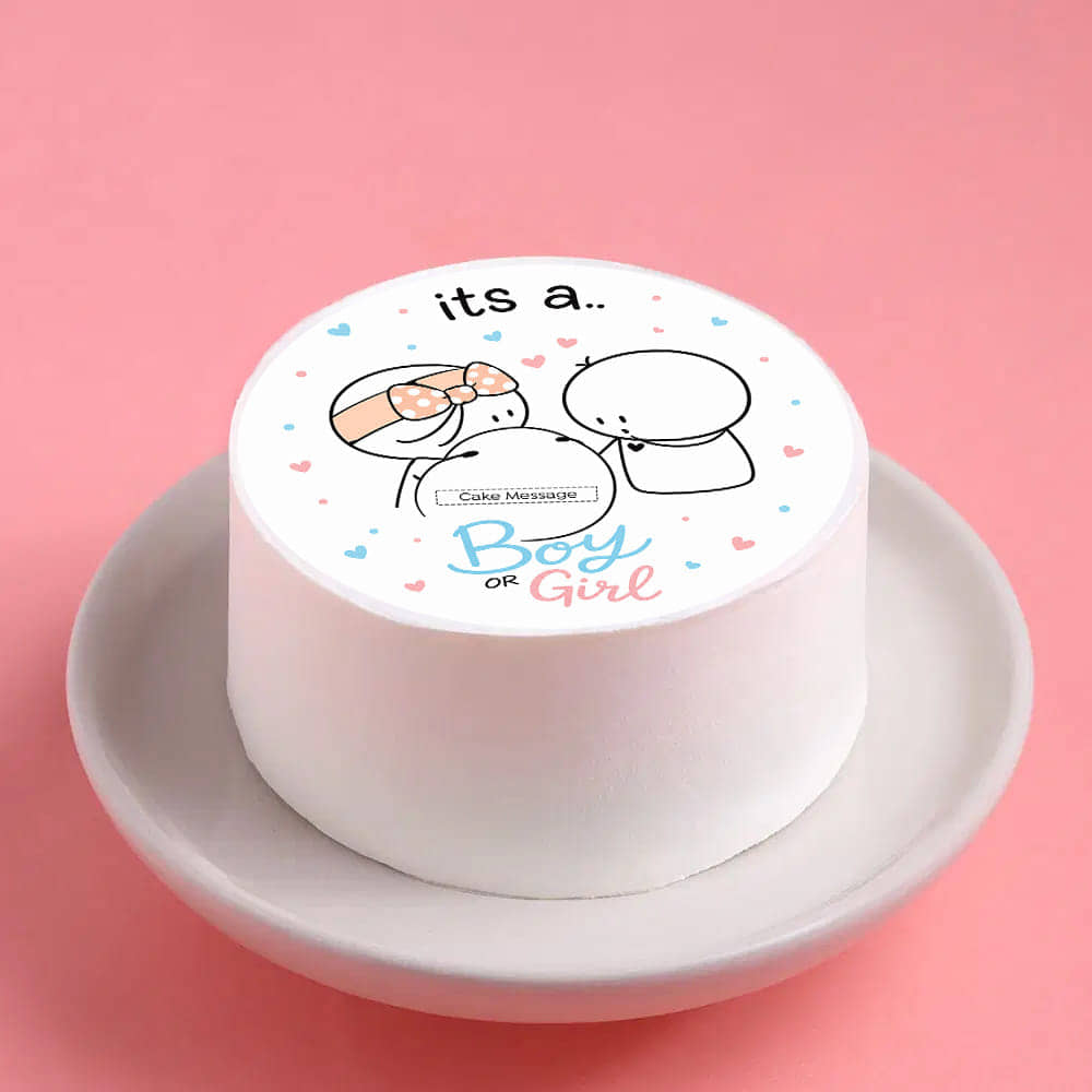 Boy Or Girl Bento Cake