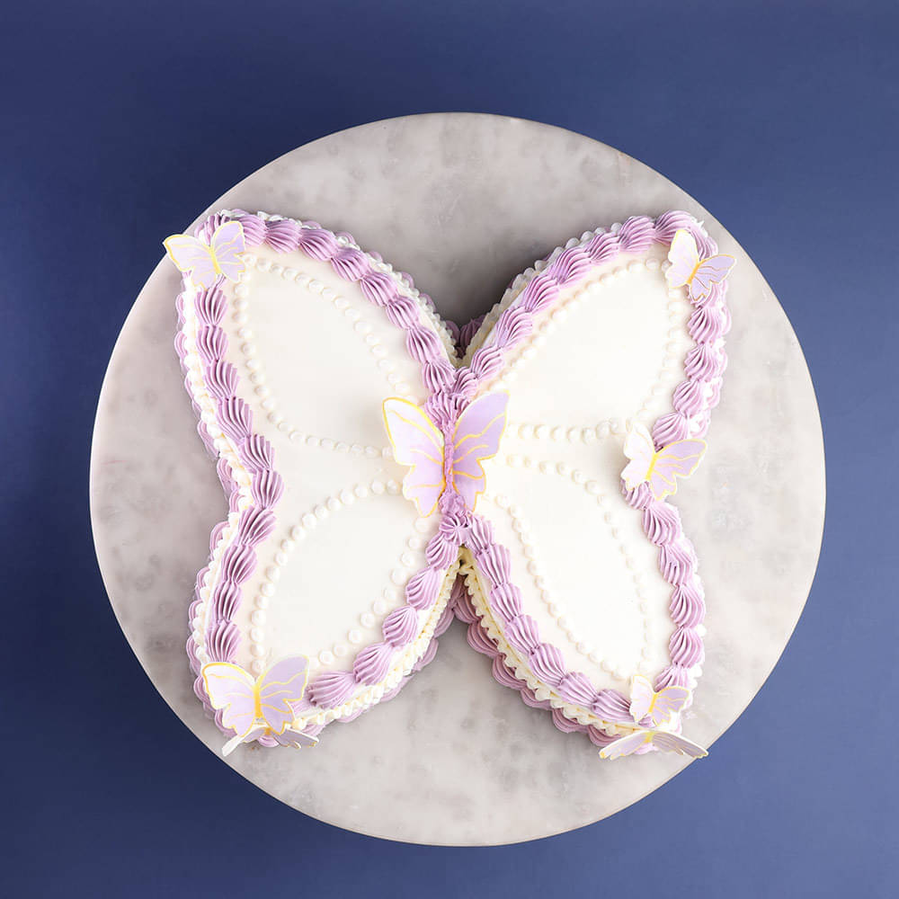 Butterfly Shaped Style Cake 