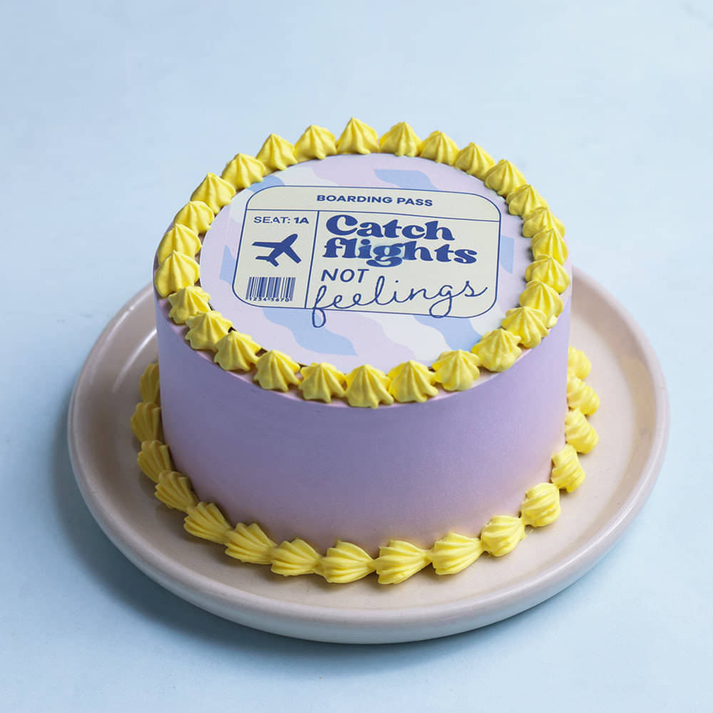 Catch Flights Bento Cake