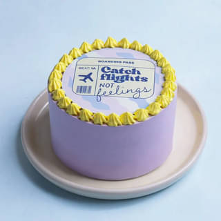 Catch Flights Bento Cake
