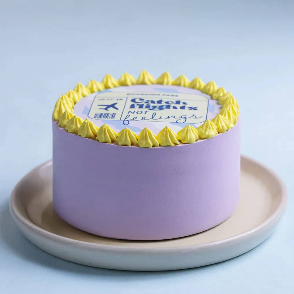 Front View of Catch Flights Bento Cake Front View of Catch Flights Bento Cake