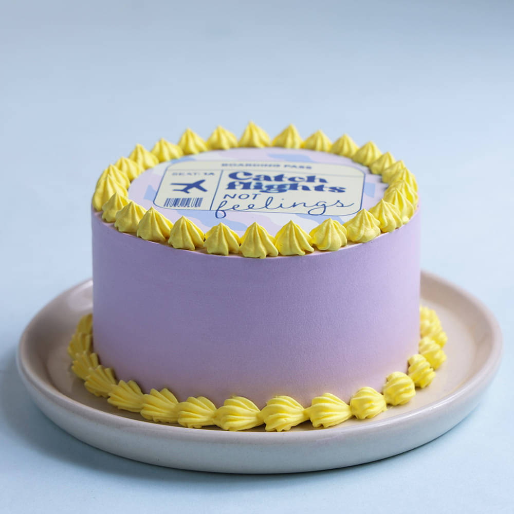 Side View of Catch Flights Bento Cake