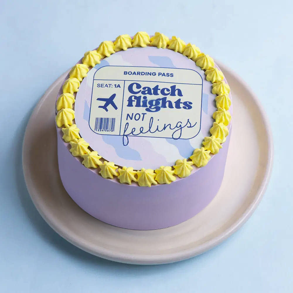 Side View of Catch Flights Bento Cake Side View of Catch Flights Bento Cake
