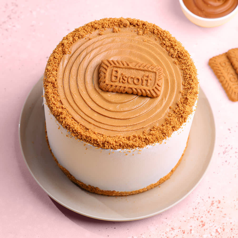 Choco Biscoff Cake