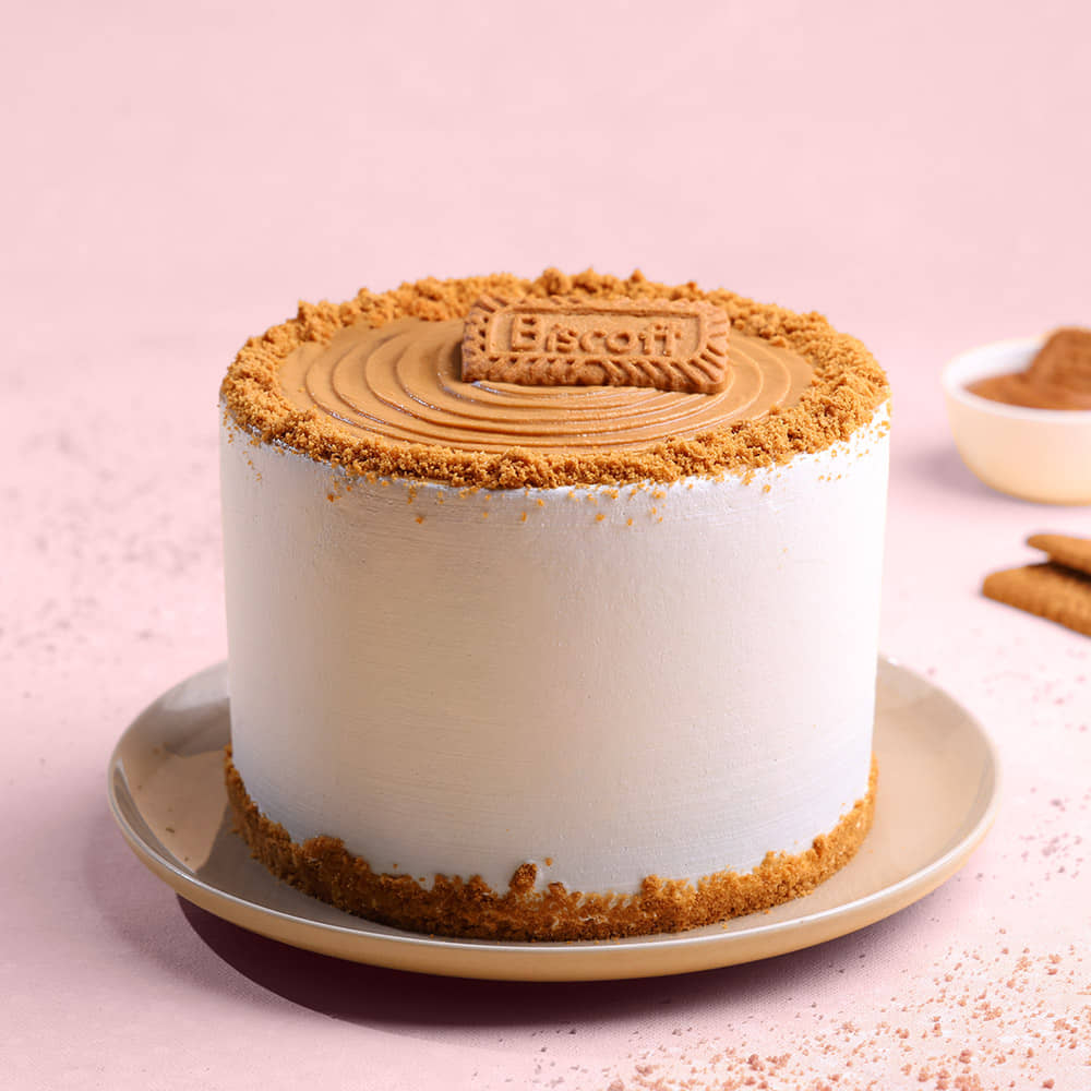 Choco Biscoff Cake