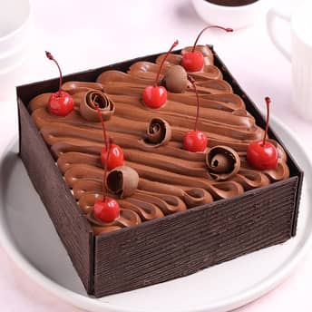Choco Cherry Black Forest Cake