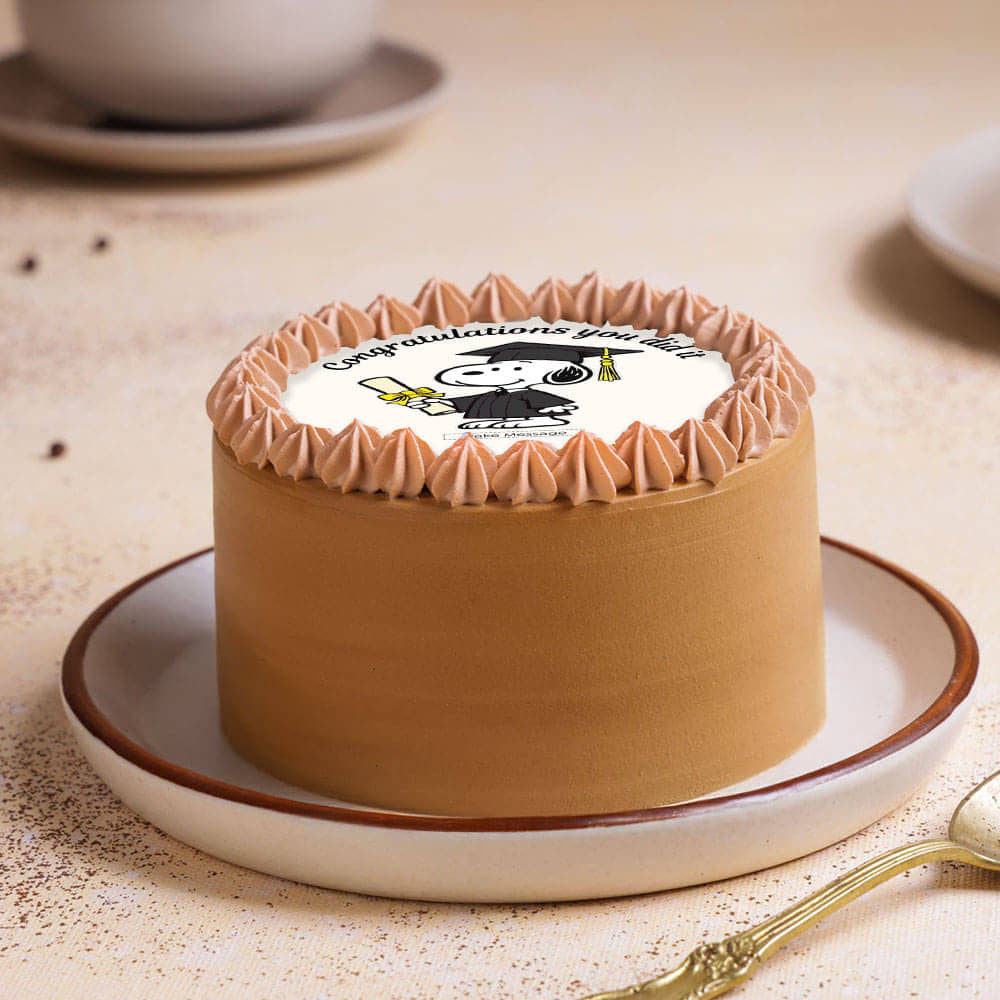 Congratulations Graduate Bento Cake