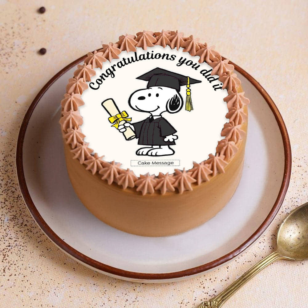Congratulations Graduate Bento Cake