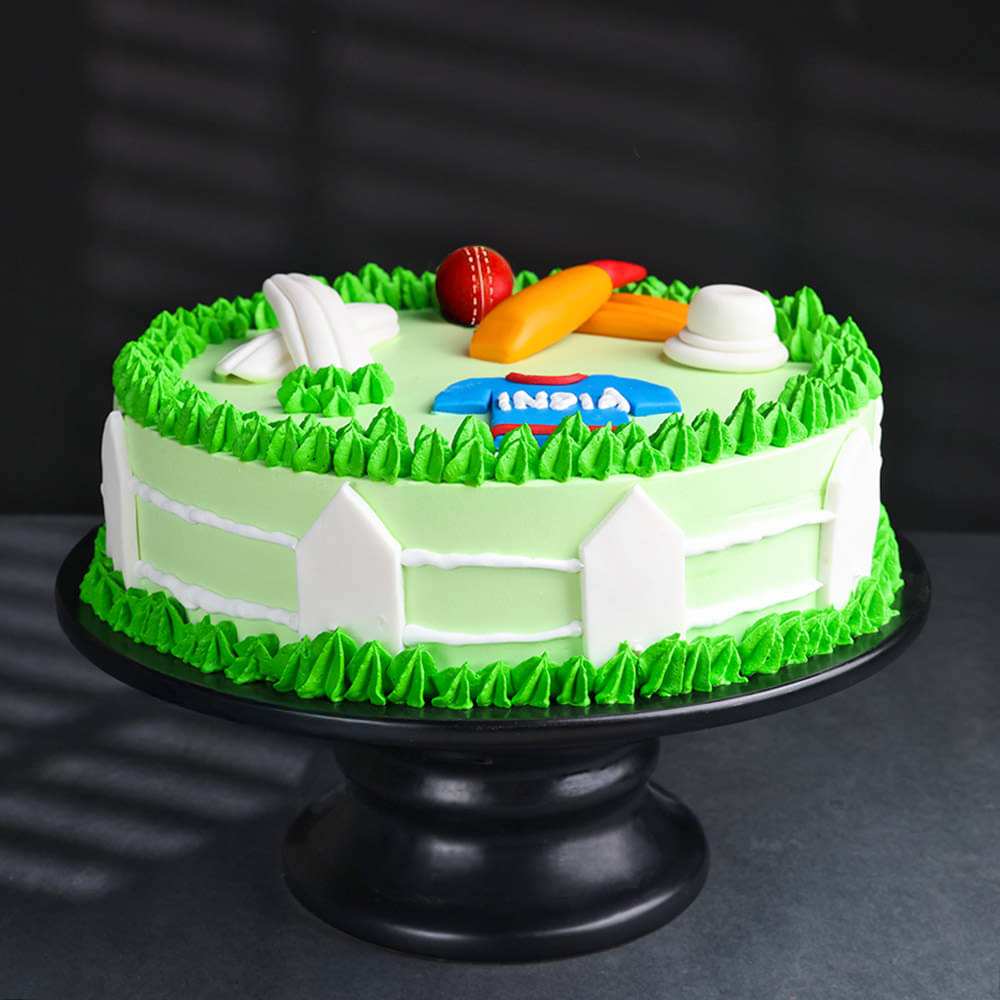 Side View of Cricket Field Cake