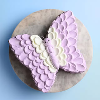 Front View of Creamy Butterfly Cake