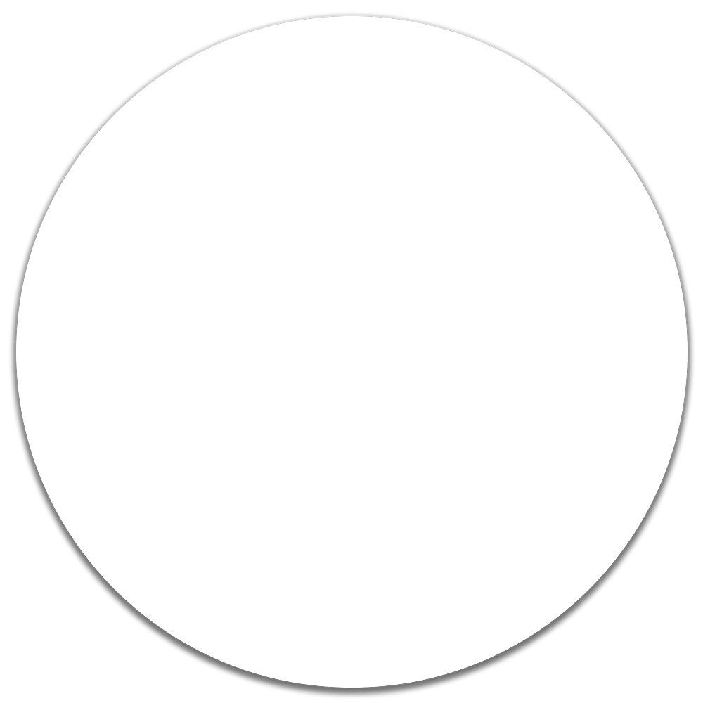 Zoomable image