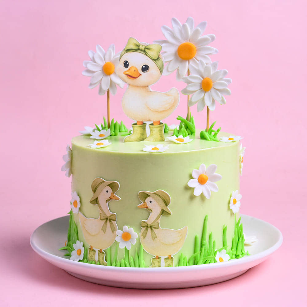 Daisy Duckling Garden Cake