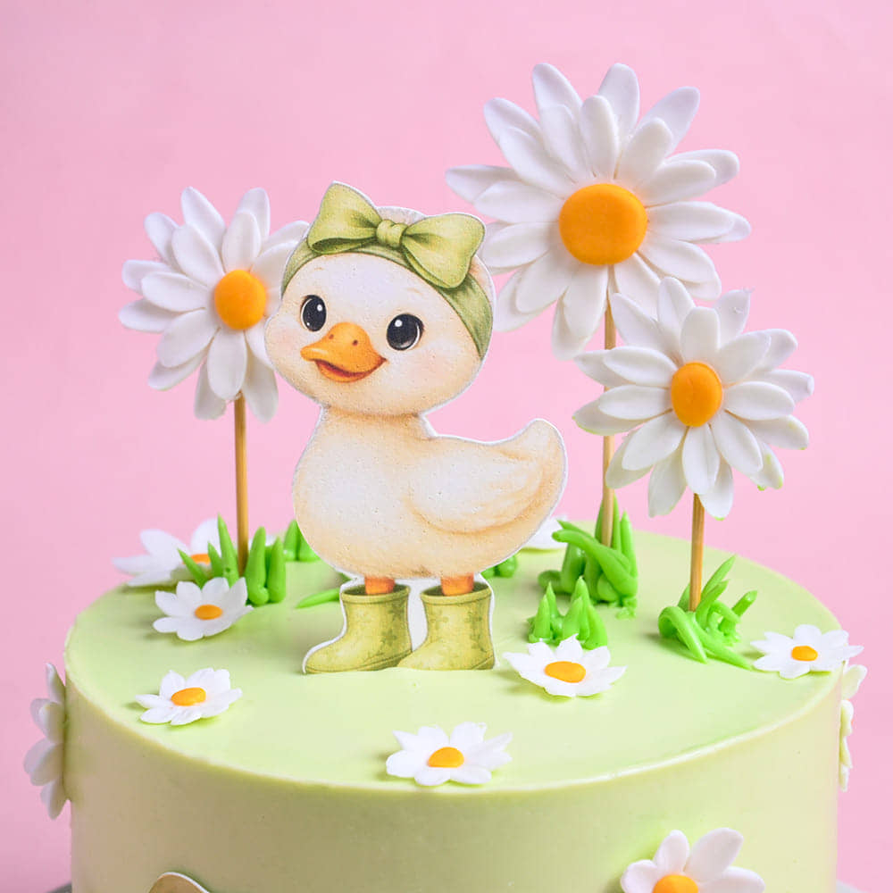 Daisy Duckling Garden Cake