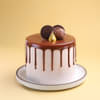 Drip Drop Tall Milk Choco Cake