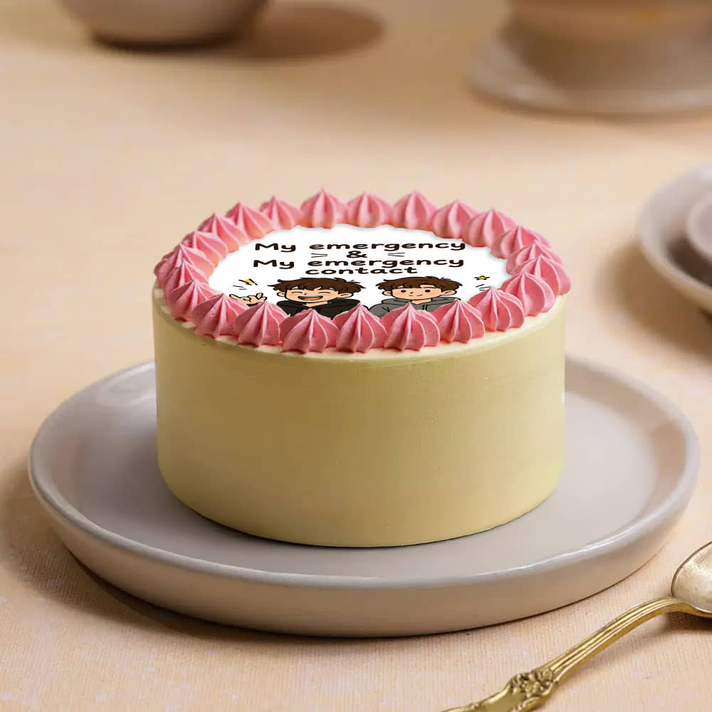 Emergency Contact Quirky Bento Cake