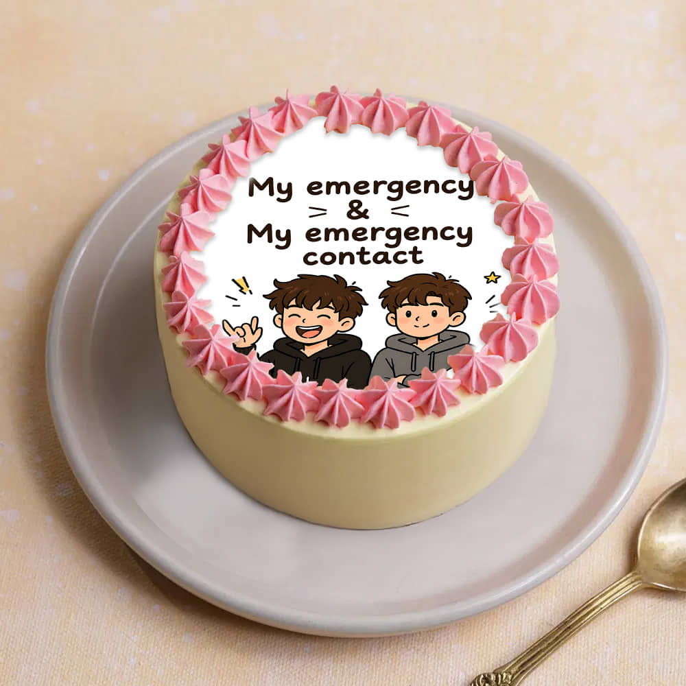 Emergency Contact Quirky Bento Cake