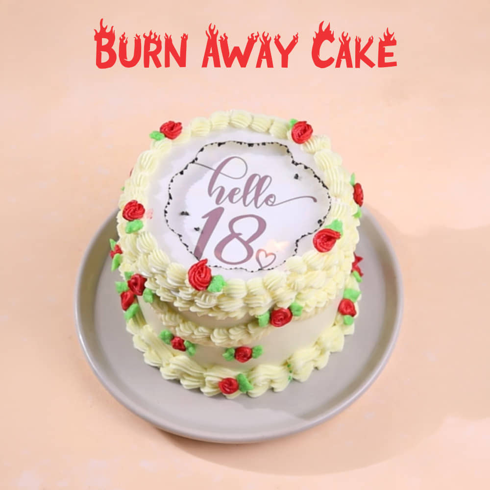 Goodbye Seventeen Fire Cake