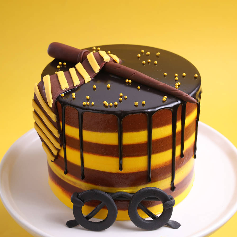 Harry Potter Drip Cake with Wand and Glasses