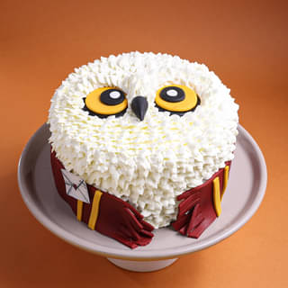 Hedwig Harry Potter Theme Cake Hedwig Harry Potter Theme Cake