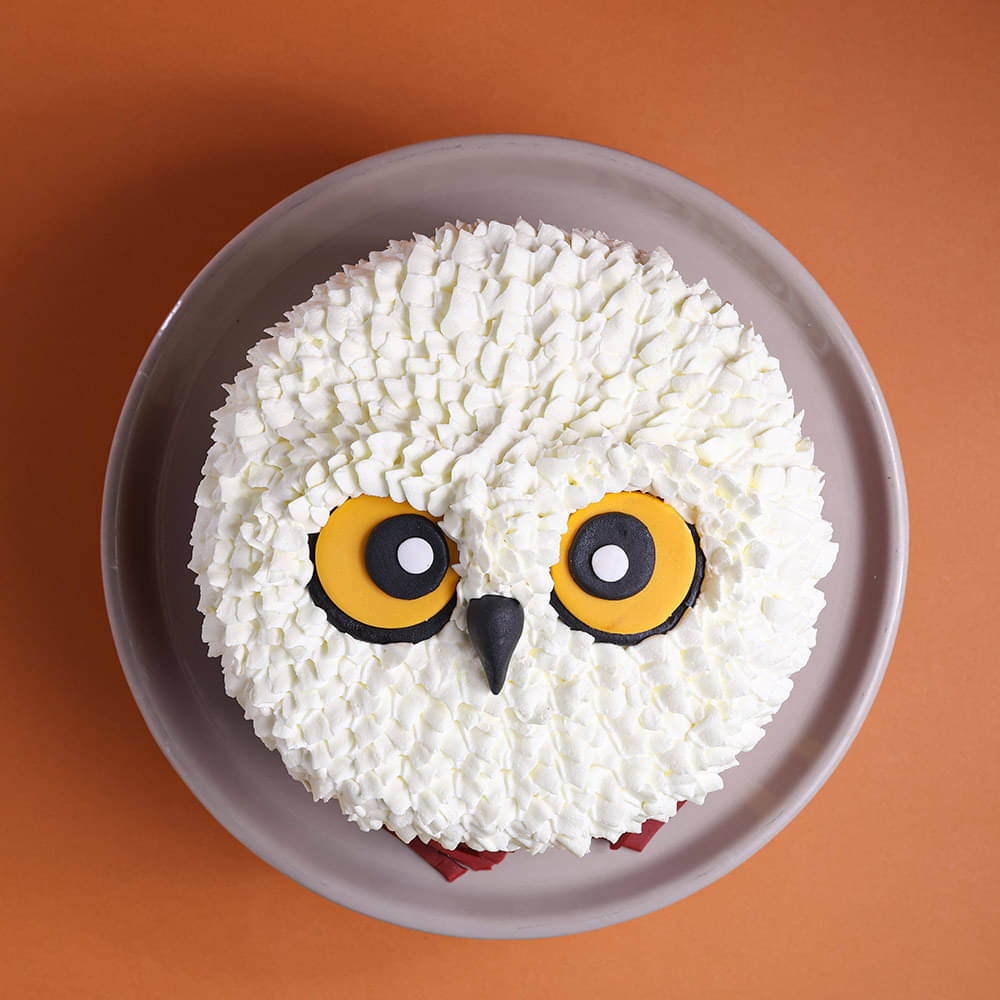 Owl Theme Harry Potter Cake with Letter and Scarf