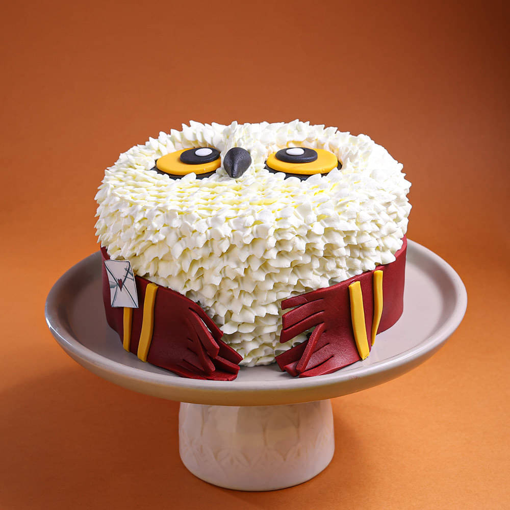 Owl Theme Harry Potter Cake with Letter and Scarf
