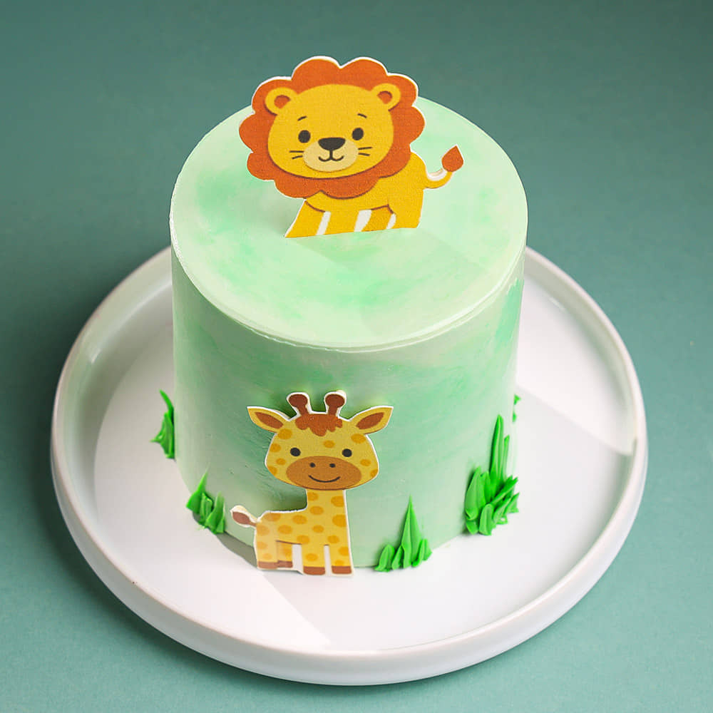 Jungle Buddies Bento Cake
