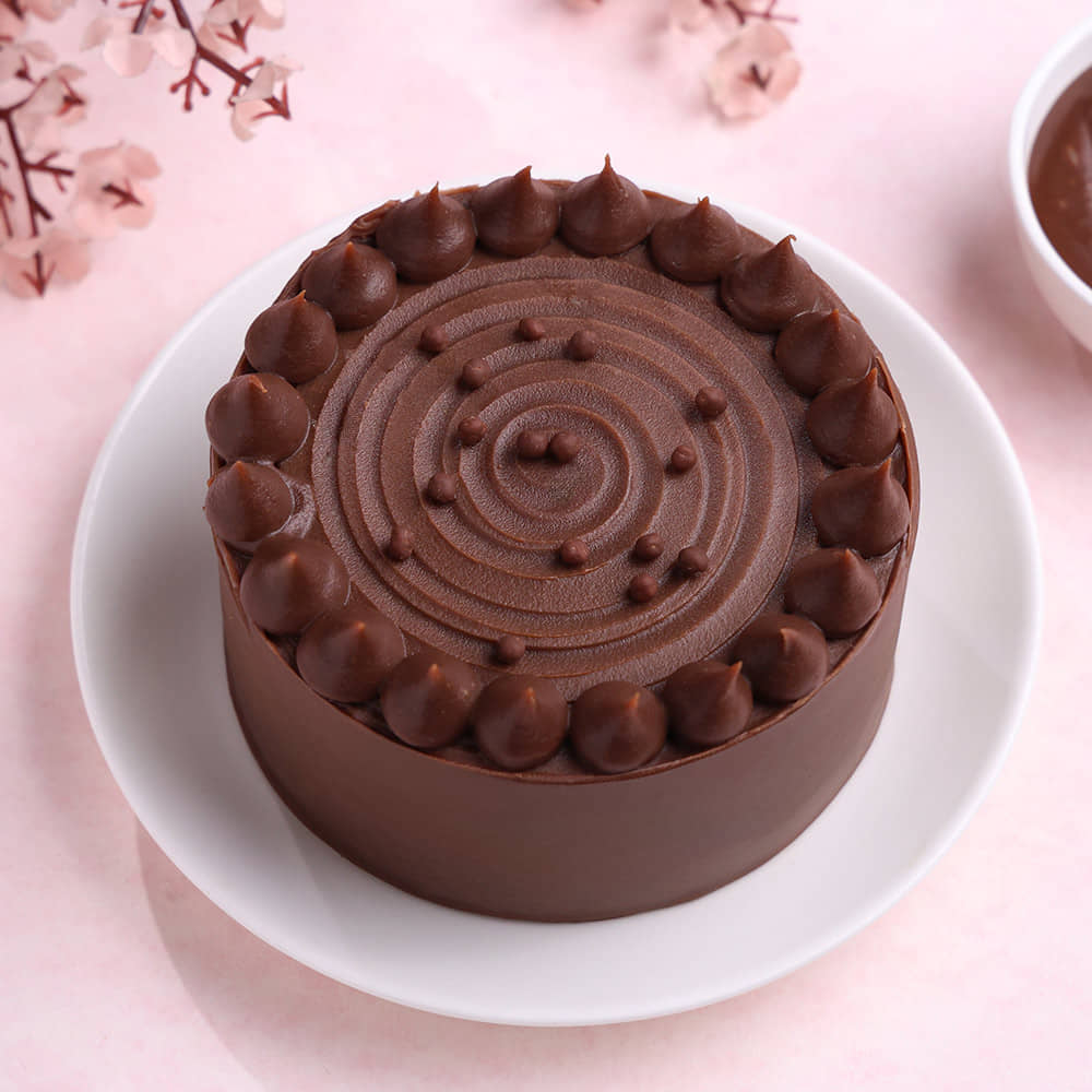 Front View of Milk Choco Bento Cake