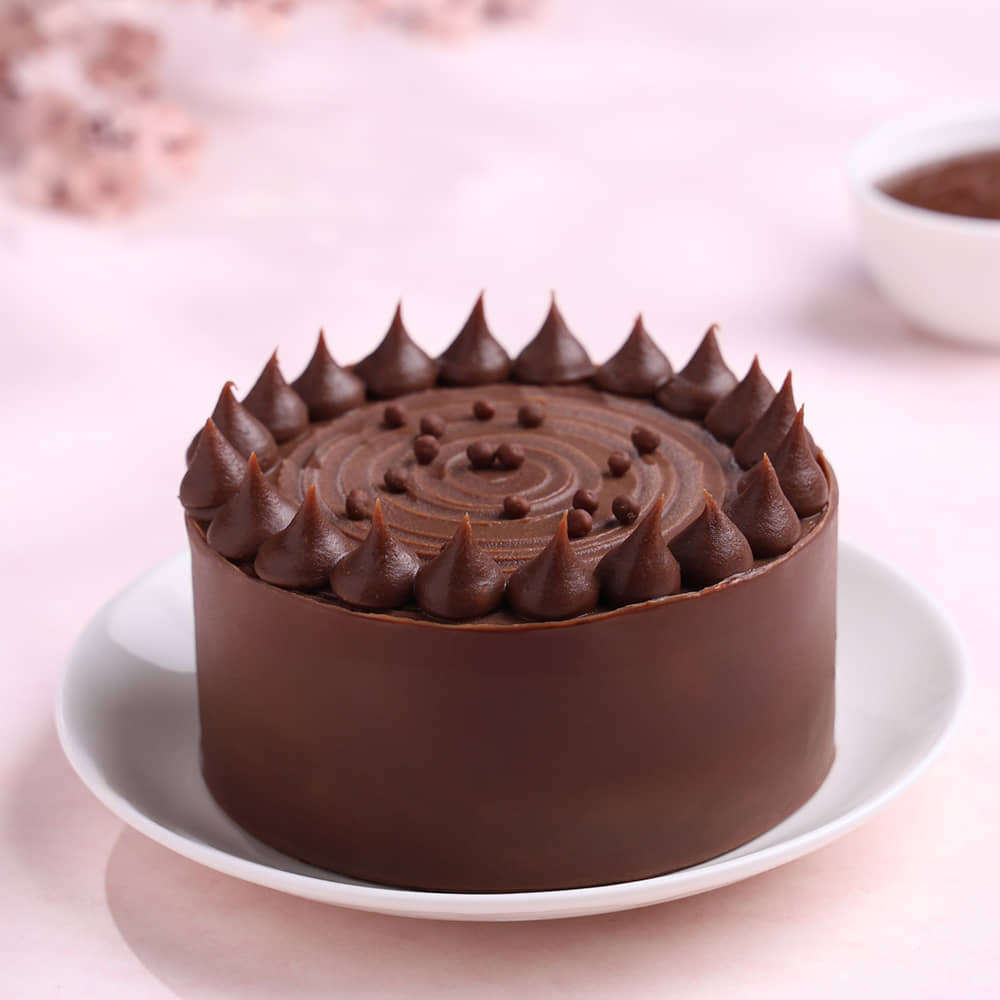 Side View of Milk Choco Bento Cake