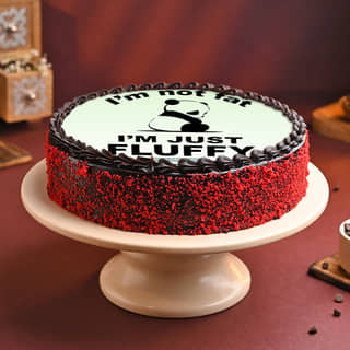 Front Angled View of Not Fat Just Fluffy Panda Cake