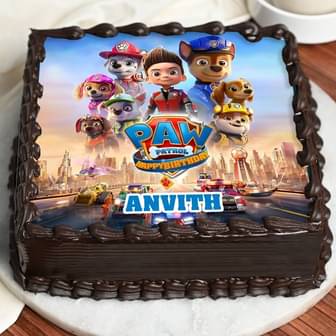 Paw Patrol Adventure Birthday Cake