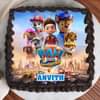 Top View of Paw Patrol Adventure Birthday Cake